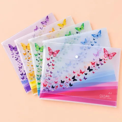 Transparent Printed Folder (Back Folding) — Document Folders